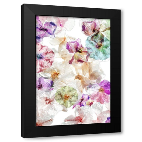 Ghost Orchids Black Modern Wood Framed Art Print with Double Matting by Shumilova, Ludmila