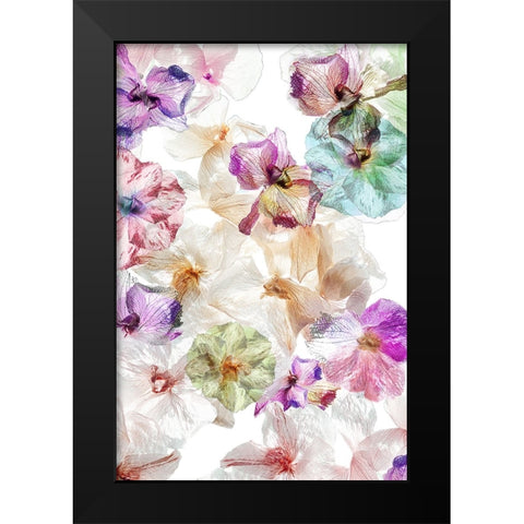 Ghost Orchids Black Modern Wood Framed Art Print by Shumilova, Ludmila
