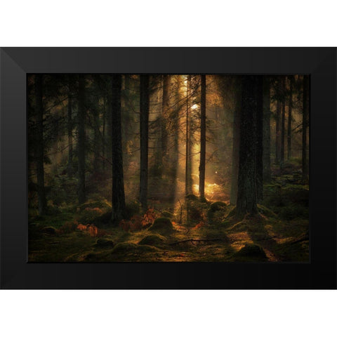 The Light In The Forest Black Modern Wood Framed Art Print by Wallberg, Allan