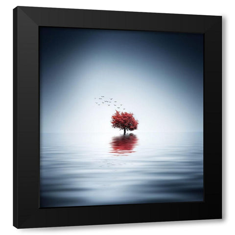 Autumn Trees Reflected Blue Lake Black Modern Wood Framed Art Print with Double Matting by Hamiti, Bess