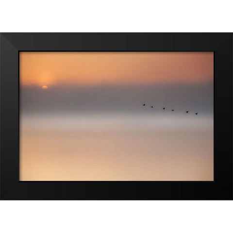 Precious Memories Black Modern Wood Framed Art Print by Schleicher-Schwarz, Roswitha