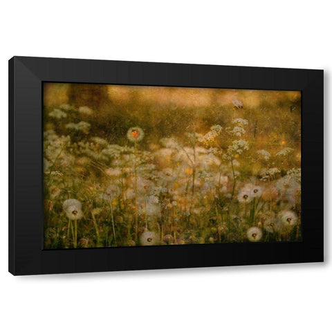 Dandelion Dreams Black Modern Wood Framed Art Print with Double Matting by Devos, Delphine