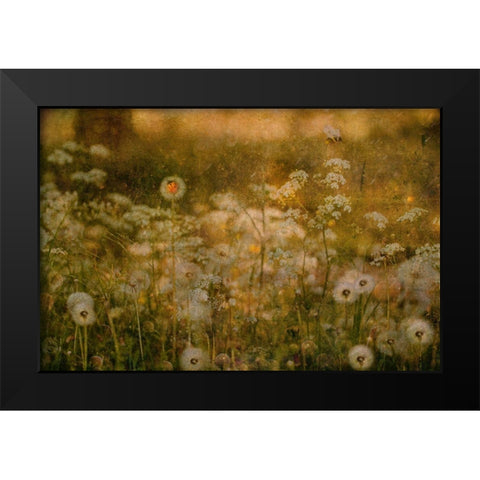 Dandelion Dreams Black Modern Wood Framed Art Print by Devos, Delphine