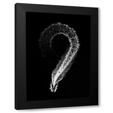 Nine Black Modern Wood Framed Art Print with Double Matting by Effendy, Nasrul