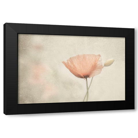 Jewel Of Nature Black Modern Wood Framed Art Print by Claes, Gilbert