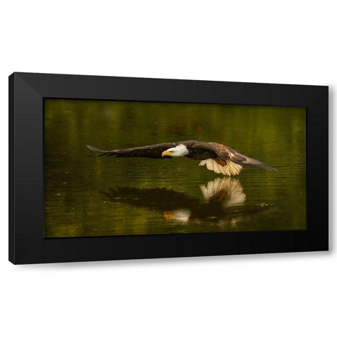 The Reflective Pond Black Modern Wood Framed Art Print by Breau, Susan