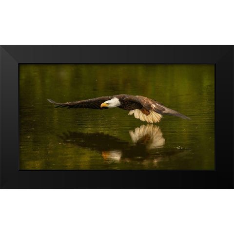 The Reflective Pond Black Modern Wood Framed Art Print by Breau, Susan