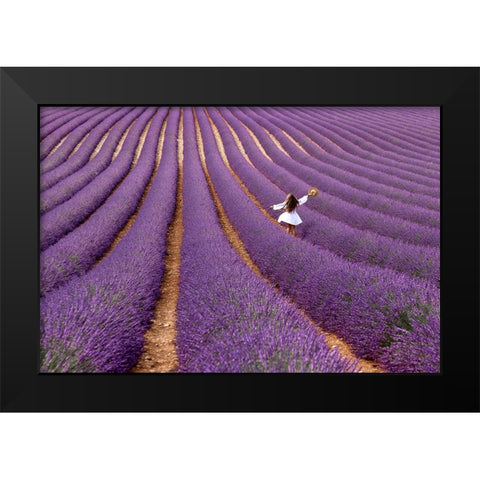 Violet Black Modern Wood Framed Art Print by Della Latta, Massimo