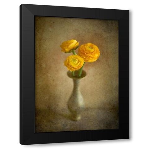 Yellow Buttercups Black Modern Wood Framed Art Print by Tokarev, Igor