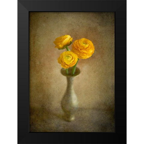 Yellow Buttercups Black Modern Wood Framed Art Print by Tokarev, Igor