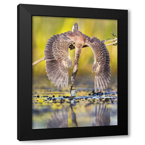 Azulada Pescando Black Modern Wood Framed Art Print with Double Matting by Ruggeri, Andres