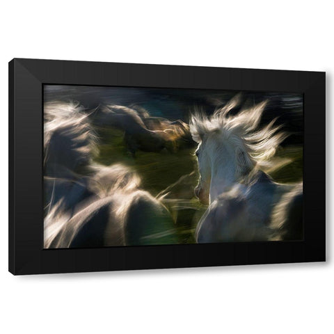 Esata Equina Black Modern Wood Framed Art Print with Double Matting by Malovrh, Milan