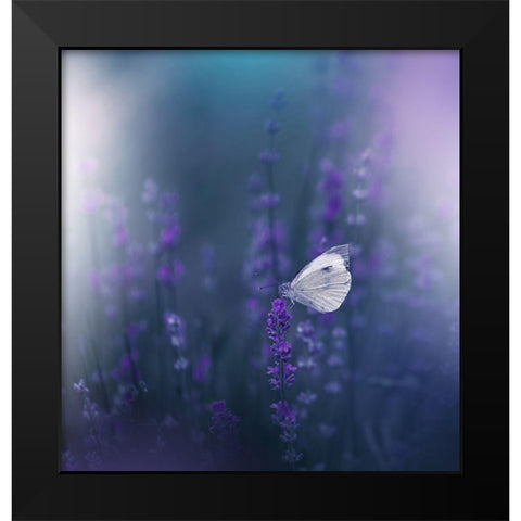 Lavender Queen... Black Modern Wood Framed Art Print by Nan, Juliana