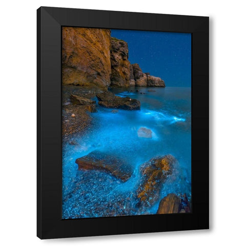 Bioluminescent Bay Black Modern Wood Framed Art Print by Zhu, Hua