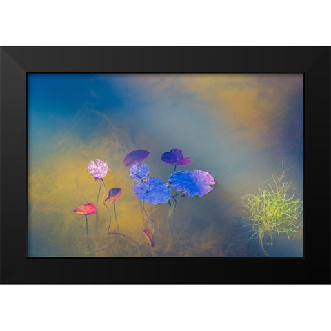 Water Life Black Modern Wood Framed Art Print by De Laat, Bernardine