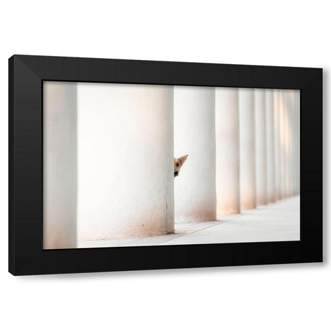 Bella - And The Pillars Of The Earth... Black Modern Wood Framed Art Print with Double Matting by Willers, Heike