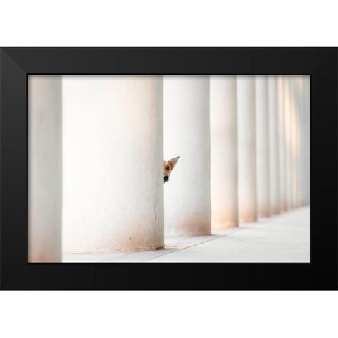 Bella - And The Pillars Of The Earth... Black Modern Wood Framed Art Print by Willers, Heike