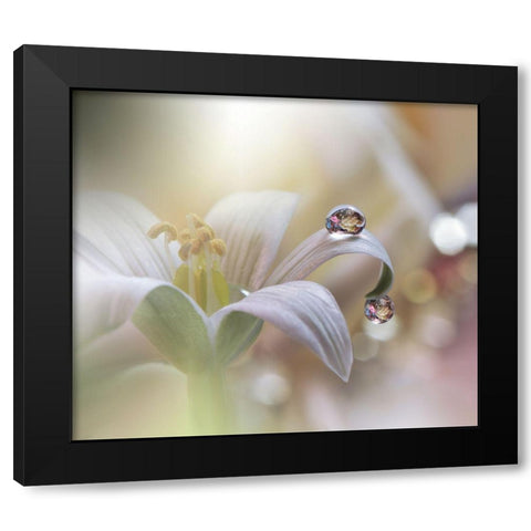 Tears Of Time.. Black Modern Wood Framed Art Print by Nan, Juliana