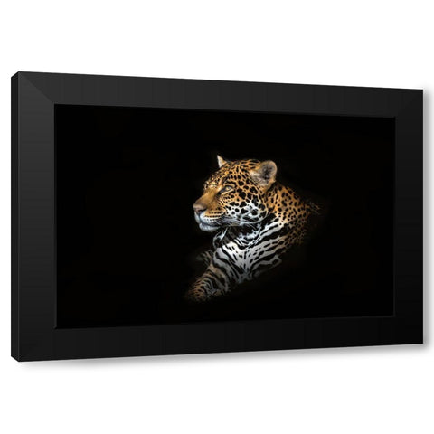 Jaguar Portrait Black Modern Wood Framed Art Print by Reames, Richard