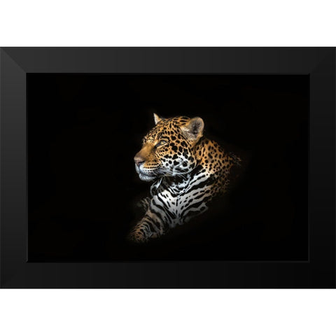 Jaguar Portrait Black Modern Wood Framed Art Print by Reames, Richard