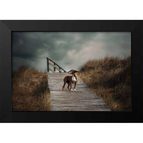 The Summer Wind Came Blowin In From Across The Seaa?B. (Frank Sinatra) Black Modern Wood Framed Art Print by Willers, Heike