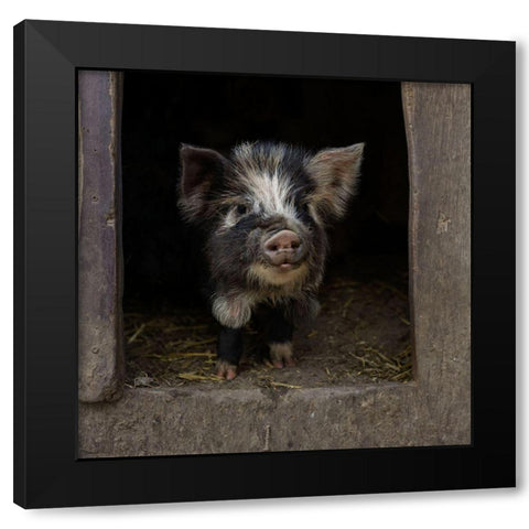 Please-Come In! Black Modern Wood Framed Art Print by Van Den, Gert