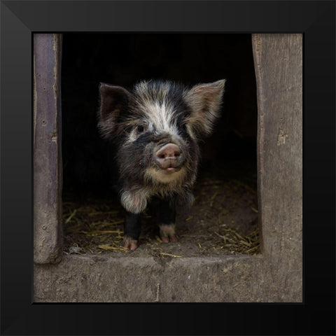 Please-Come In! Black Modern Wood Framed Art Print by Van Den, Gert