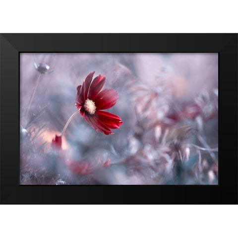 Carmen Black Modern Wood Framed Art Print by Bravin, Fabien