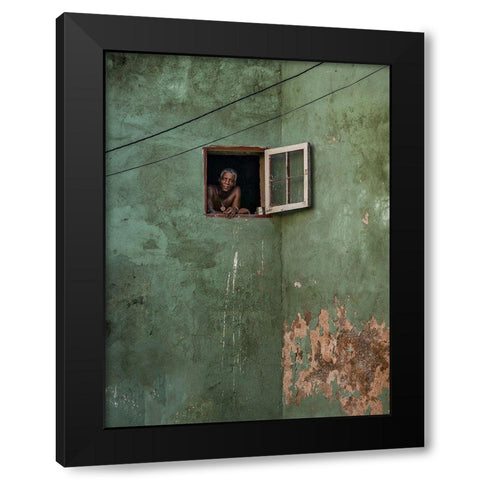 Green Facade Black Modern Wood Framed Art Print by Bauer, Andreas