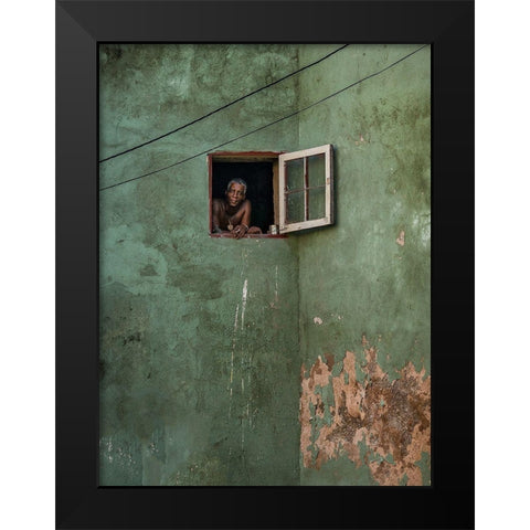 Green Facade Black Modern Wood Framed Art Print by Bauer, Andreas