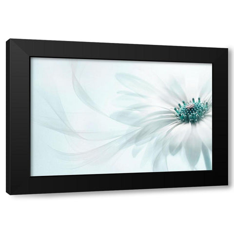 Purity Black Modern Wood Framed Art Print by Parker, Jacky