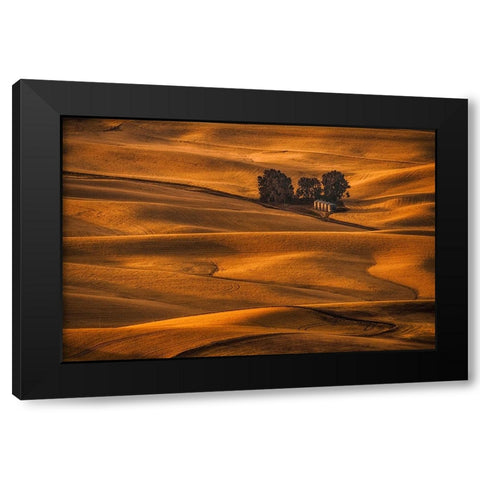 Golden Field Black Modern Wood Framed Art Print by Jacobs, Lydia
