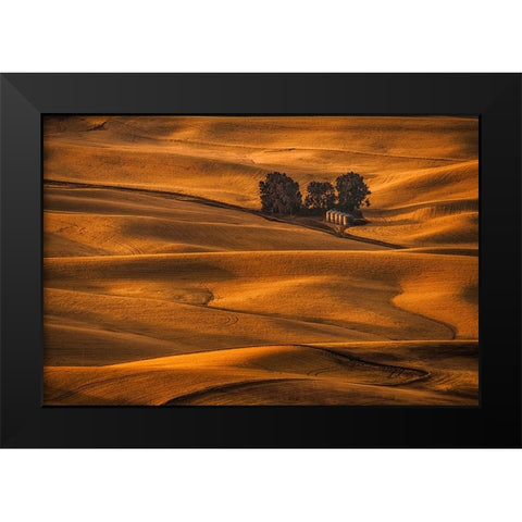 Golden Field Black Modern Wood Framed Art Print by Jacobs, Lydia