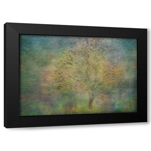 Impressions Of A Tree Black Modern Wood Framed Art Print by Holmstrom, Katarina