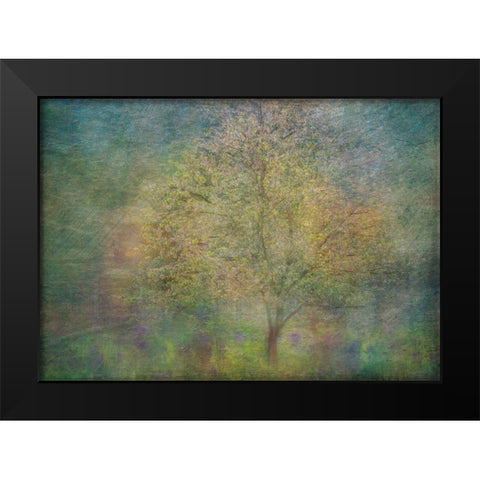 Impressions Of A Tree Black Modern Wood Framed Art Print by Holmstrom, Katarina