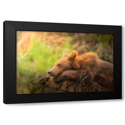 Top Model. Black Modern Wood Framed Art Print by Saavedra Ruiz, Sergio