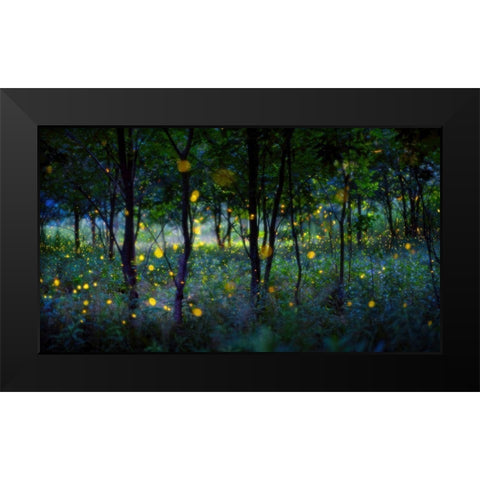 Magic Fireflies Black Modern Wood Framed Art Print by Zhu, Hua