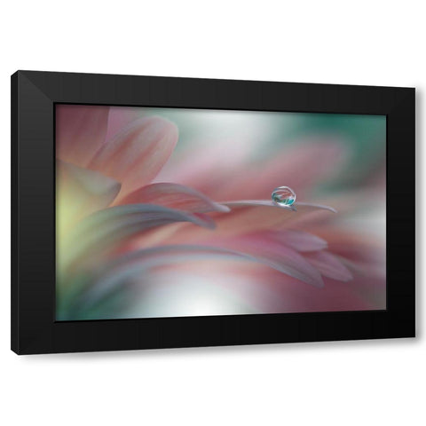 Sunbeam..Ii Black Modern Wood Framed Art Print with Double Matting by Nan, Juliana