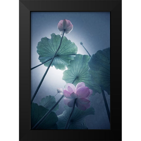 Lotus Black Modern Wood Framed Art Print by Shanyewuyu