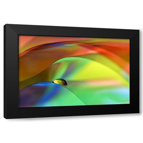 Color Cascade Black Modern Wood Framed Art Print by Westum, Heidi