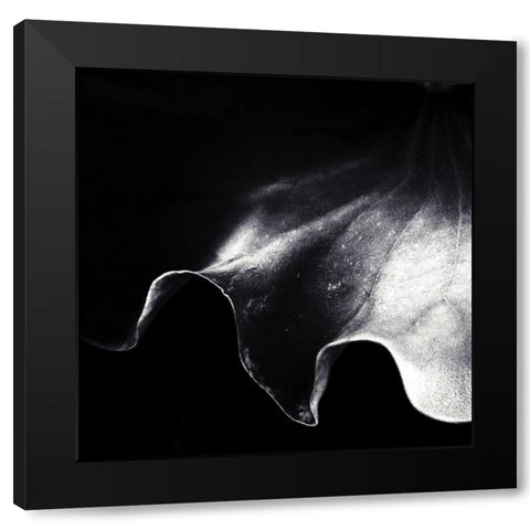 A Kiss Of Light Black Modern Wood Framed Art Print by Flour, Piet
