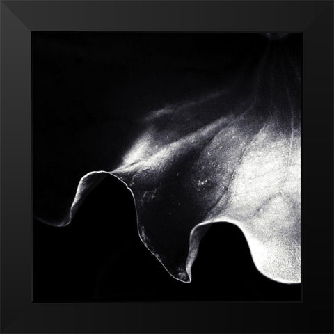 A Kiss Of Light Black Modern Wood Framed Art Print by Flour, Piet