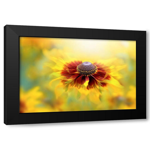 Autumn Glow Black Modern Wood Framed Art Print with Double Matting by Parker, Jacky