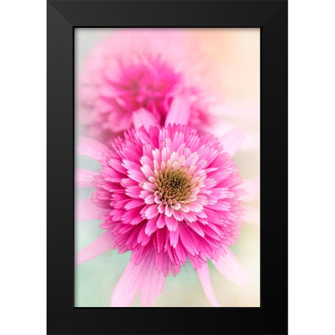 Summer Spirit Black Modern Wood Framed Art Print by Parker, Jacky