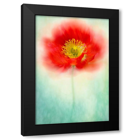 Sprite Black Modern Wood Framed Art Print by Parker, Jacky