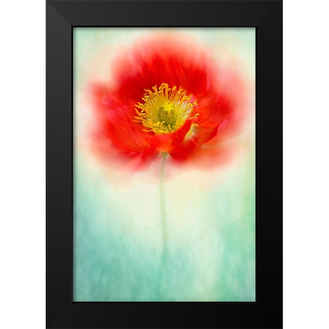 Sprite Black Modern Wood Framed Art Print by Parker, Jacky