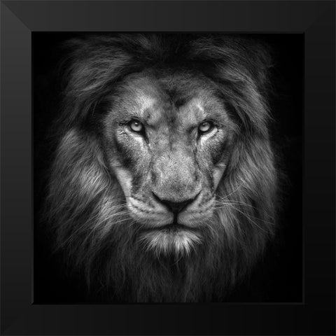 Face Black Modern Wood Framed Art Print by Itoyama, Eiji