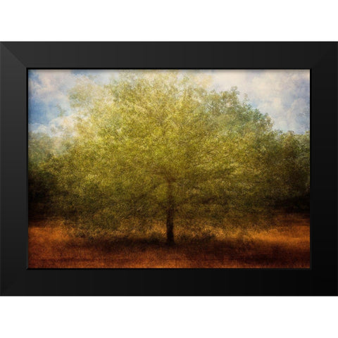 Embrace Me Black Modern Wood Framed Art Print by Holmstrom, Katarina