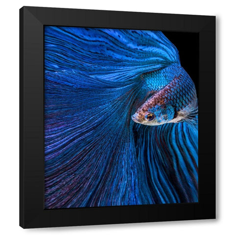 Blue Moon Black Modern Wood Framed Art Print by Halil, Andi