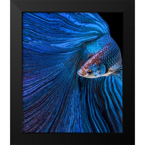 Blue Moon Black Modern Wood Framed Art Print by Halil, Andi